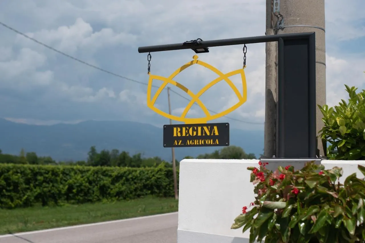 Regina Nel Cuore Del Veneto Codognè 0*,  Itálie